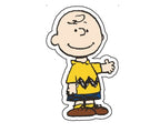 Peanuts Charlie Brown-Jibbitz™