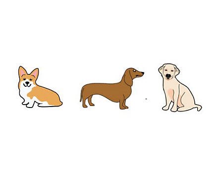 Trendy Dog-3 Pack Jibbitz
