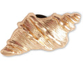 Gold Sea Shell - Jibbitz™
