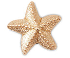 Gold Star Fish - Jibbitz™