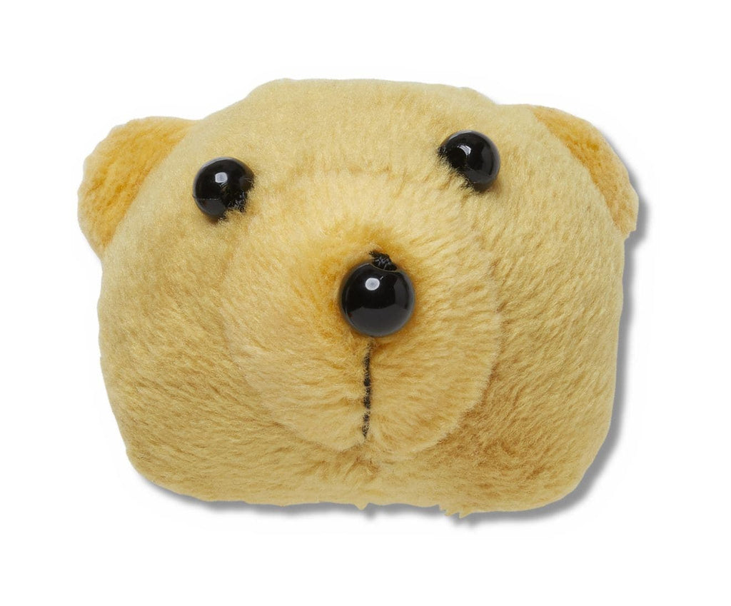 Teddy Bear Face - Jibbitz™