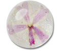 Encapsulated Pink Daisy-Jibbitz™